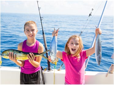 资源调度的DDOS接单平台